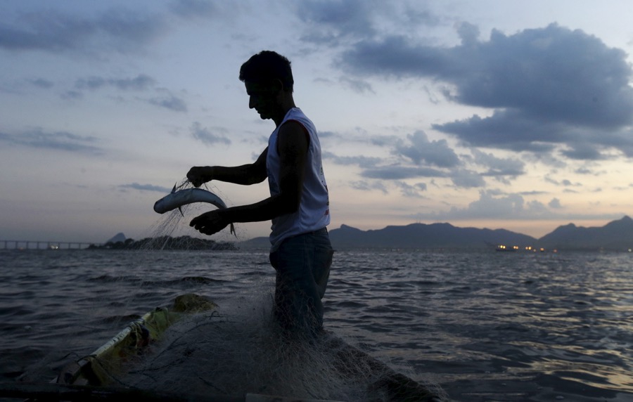 A man holds a fish caught in his net in Guanabara Bay on Jan. 8, 2016. A man holds a fish caught in his net in Guanabara Bay on Jan. 8, 2016.